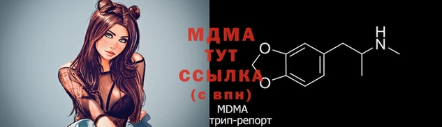 apvp Алзамай