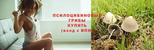 твердый Алексеевка